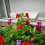 Nena Apartman