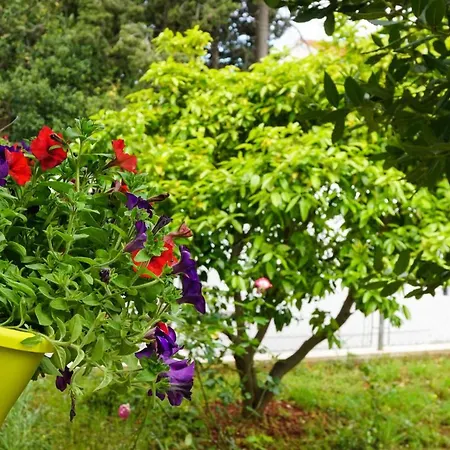 Apartamento Nena Zadar