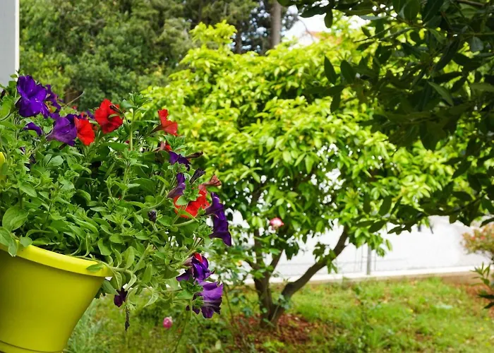 Lägenhet Nena Zadar